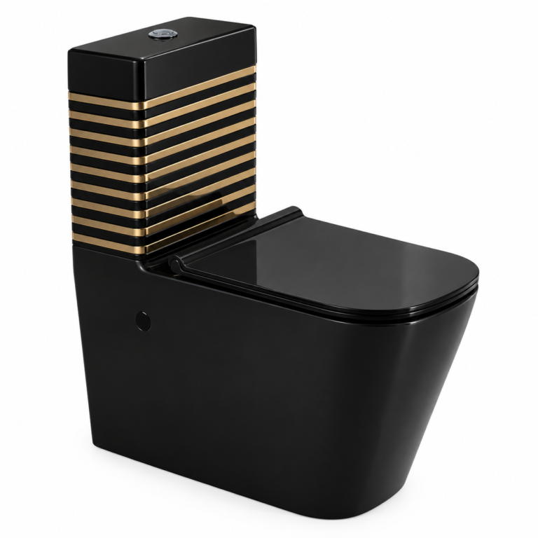 WC monobloc sans bride, noir et rayures dorées